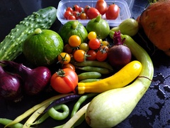 Allotment/Veg Patch Thread 14 ! growing into summer