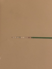 9dpt!!! PLZ HELP