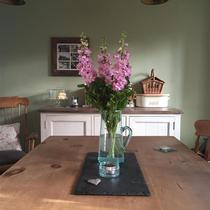 Green painted kitchen