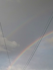 TTC after pregnancy loss thread 31 - baby penguins are coming!