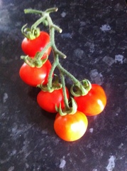 Allotment/Veg Patch Thread 14 ! growing into summer