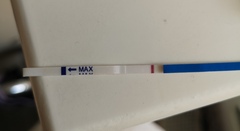 Diluted urine