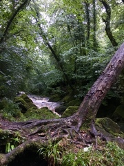 Any Witches Here? Part 9.