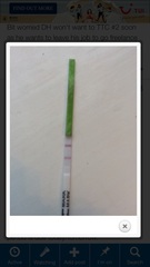 OPKS as Pregnancy tests...