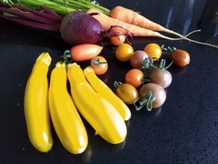Allotment/Veg Patch Thread 14 ! growing into summer