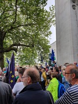 Protests against Brexit.*title edited by MNHQ at OP's request*