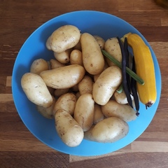 Allotment/Veg Patch Thread 14 ! growing into summer