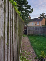 A very leaning garden fence