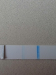 The Graduates of TTC after pregnancy loss thread #3 🐧🐧The Penguin Huddle 🐧🐧