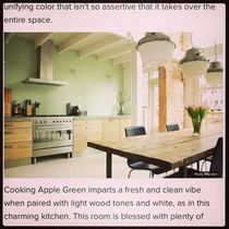 Green painted kitchen