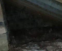 Please tell me this is not a ghost, even though it obviously is and I have to move