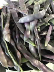 5:2 Thread number 86: Weight loss doesn't begin in the kitchen or the gym; it starts in your head with a decision to go for it !