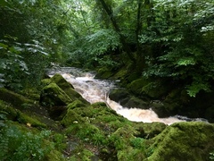 Any Witches Here? Part 9.