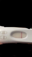 Can you tell me if this test was positive?