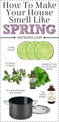 How to make your house smell amaaazing (on a budget!!)