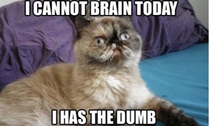 AIBU to think everyone knows