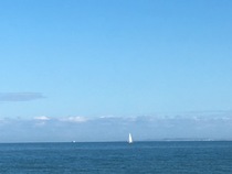 Westminstenders: Promises, promises