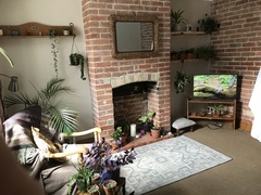 Will this sofa look ok in this room?