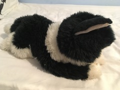 Lost toy cat, heartbroken DD can anyone help?