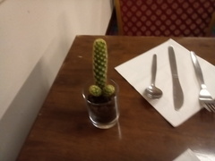 Shocking table decoration