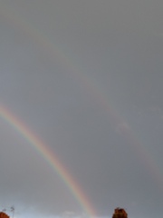 TTC after pregnancy loss thread 31 - baby penguins are coming!