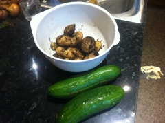 Allotment/Veg Patch Thread 14 ! growing into summer