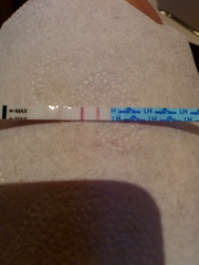 TTC after pregnancy loss thread 31 - baby penguins are coming!