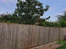 A very leaning garden fence