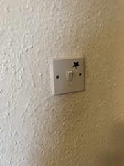 To burn the house down?
