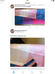 Taking a sword to the toilets