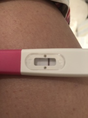 7dpo