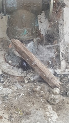 Is this a False Widow?