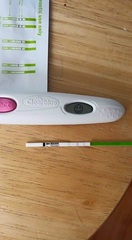 I'm thinking I'm pregnant?! Going insane