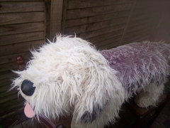 Old English sheep dog food stool