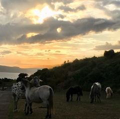 Any Witches Here? Part 9.