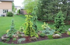 Help planning a garden
