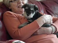 Mumsnet users share how their dog helped them and their family