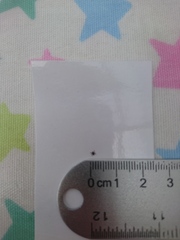 Is this a tick?