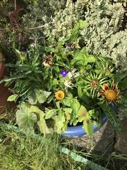 Frugal Friends, planning, saving and considerate spending through July and August