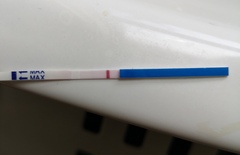 Diluted urine