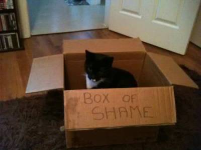 Westministenders: Boris Johnson Broke The Law