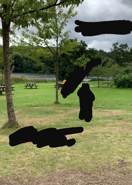 Do you recognise the park in this photo? (Yorkshire/South Yorkshire area)