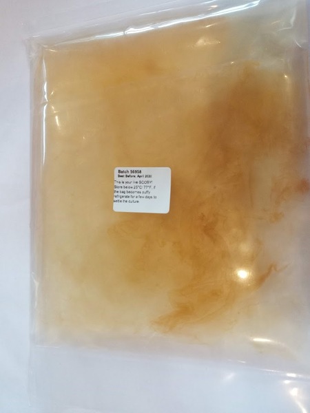 Any fermentistas/kombuchers about?