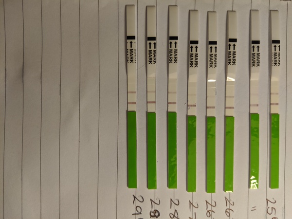 Is this a positive OPK