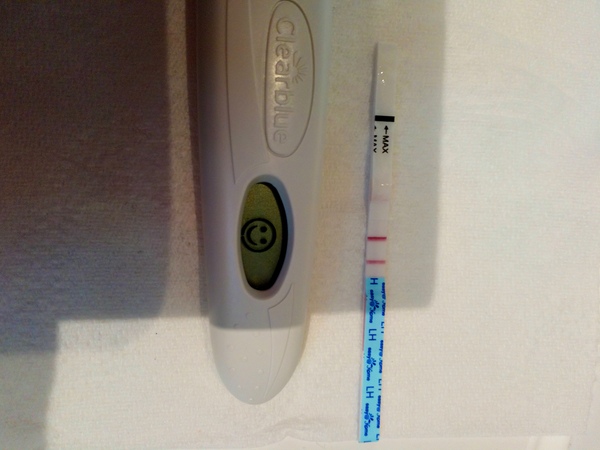 TTC after pregnancy loss 32 - the penguin huddle