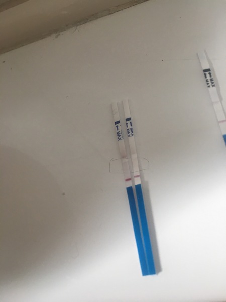 Pregnancy test