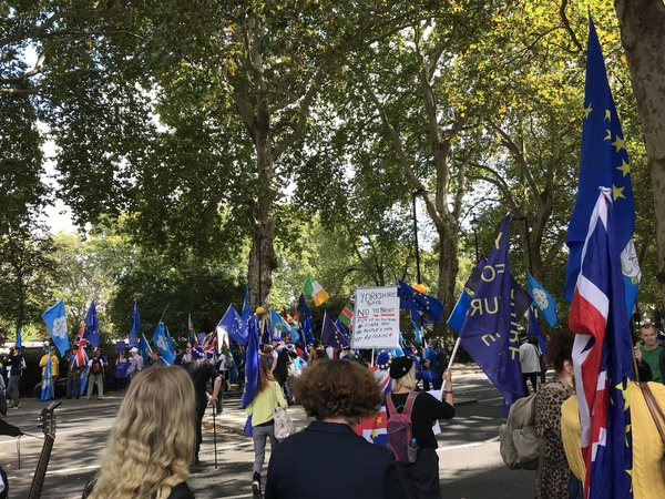 Westminstenders: It's a trap!