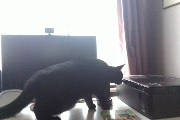 Westminstenders: The Tory Party Spectacular