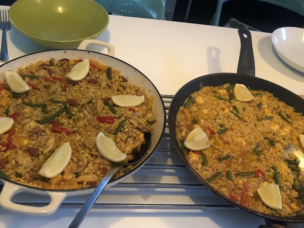 1 vegetarian in family, rest eat meat- plans, tips