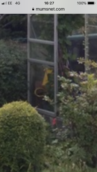 Do you see it? Please tell me I am not the only one